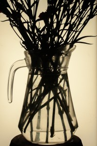 Fig 2: Shape - Photographic Light