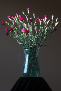 Fig 3: Form - Available Light