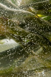 Fig 5: Texture - available light