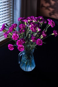 Fig 8: Colour - mixed light